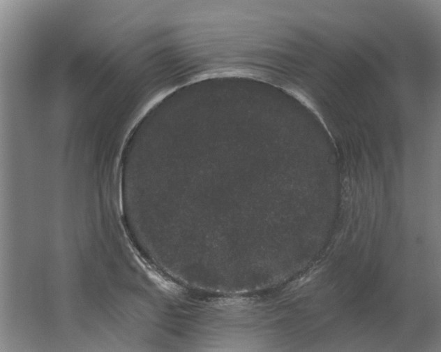 X0000062861127200601271523