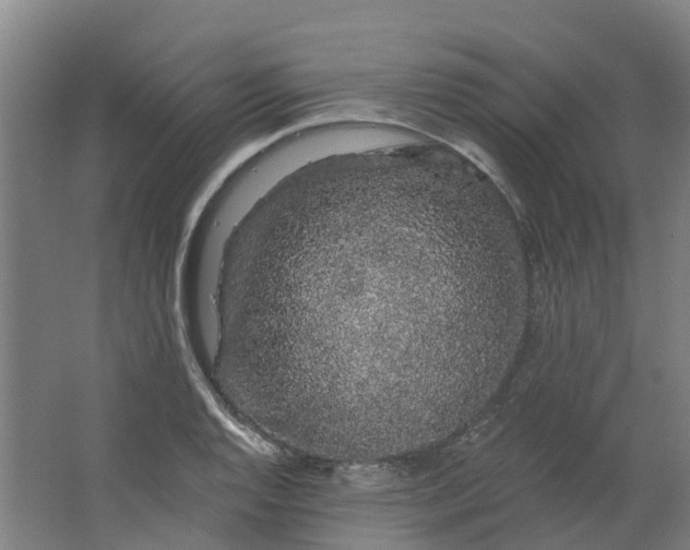 X0000062861128200601271523