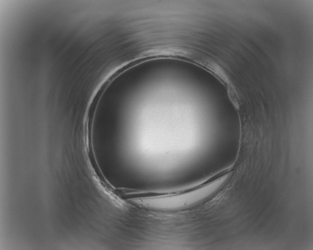 X0000062861132200601271523