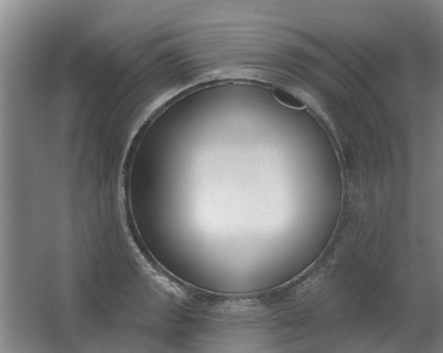 X0000062861133200601271523