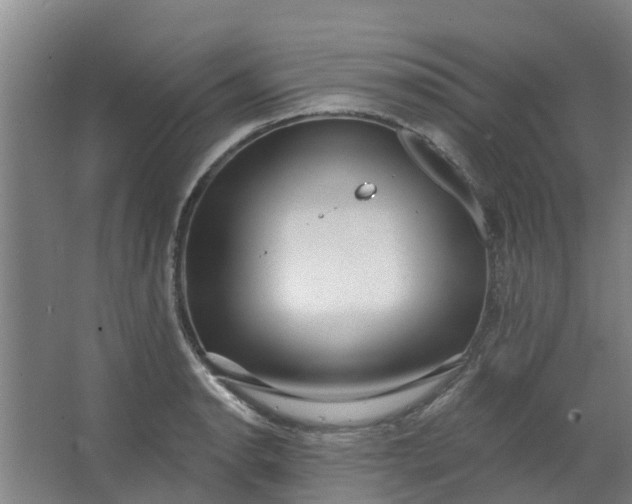 X0000062861134200601271523