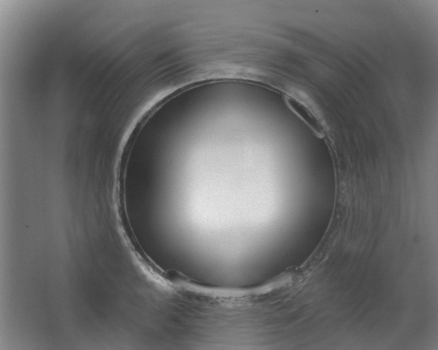 X0000062861136200601271523