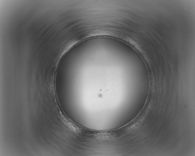 X0000062861137200601271523