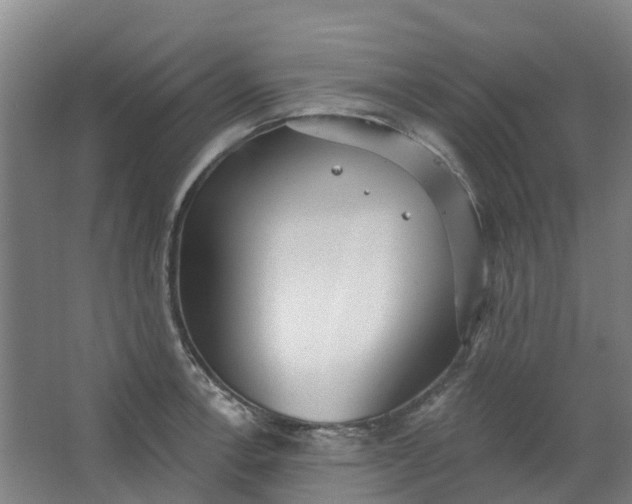 X0000062861138200601271523