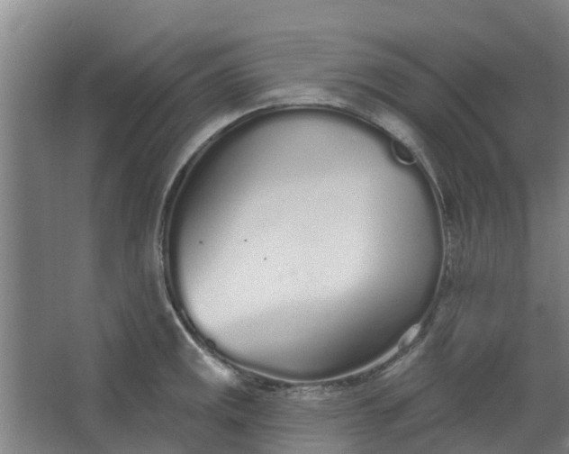 X0000062861141200601271523