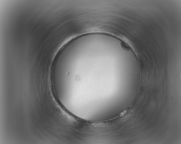 X0000062861142200601271523