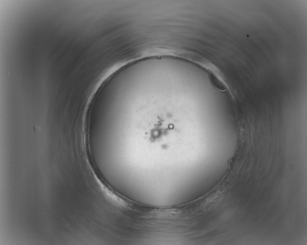 X0000062861143200601271523