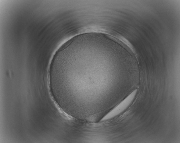 X0000062861144200601271523