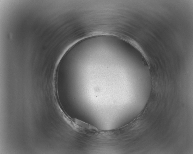 X0000062861148200601271523