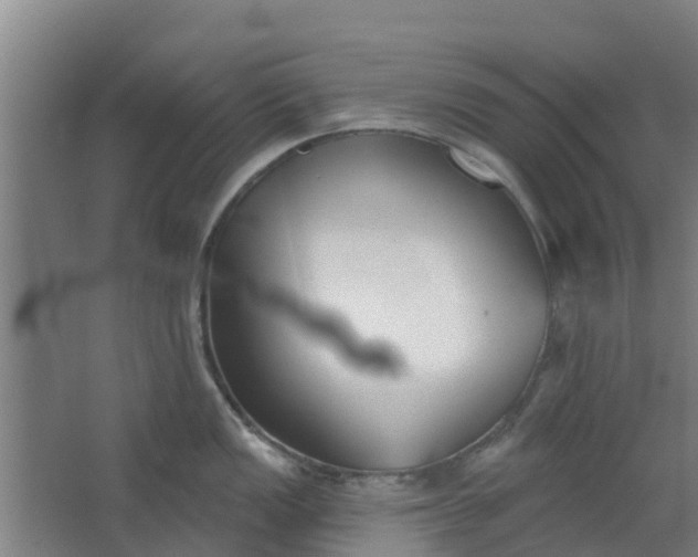 X0000062861149200601271523