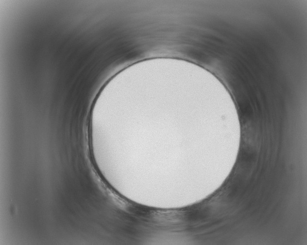 X0000062861150200601271523