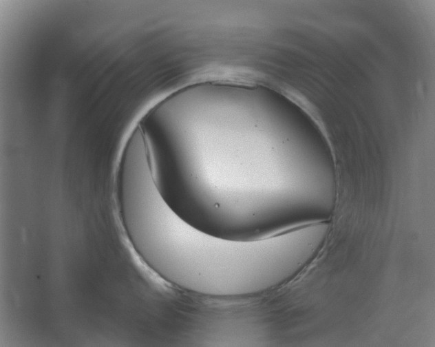 X0000062861152200601271523