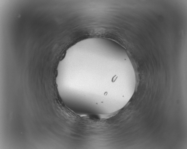 X0000062861153200601271523