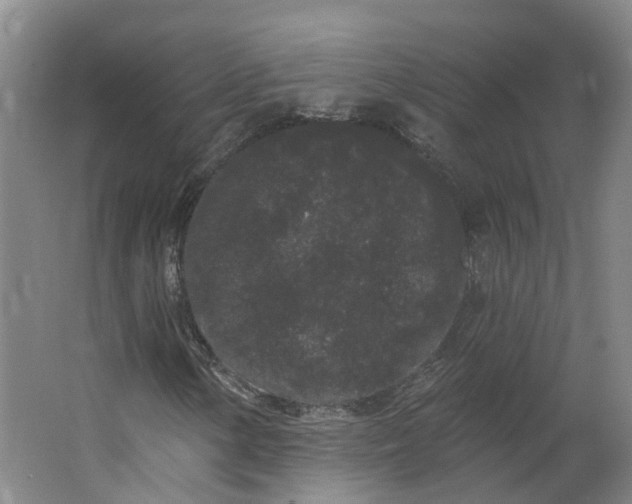 X0000062861154200601271523