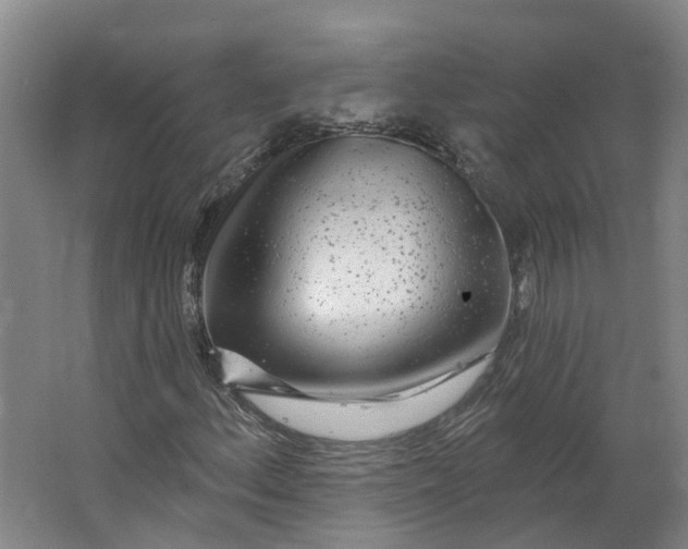 X0000062861156200601271522