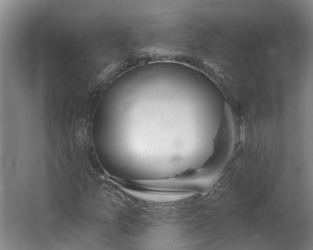 X0000062861157200601271522