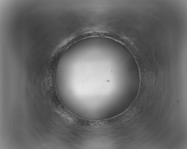 X0000062861159200601271522