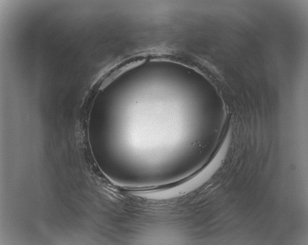 X0000062861160200601271522