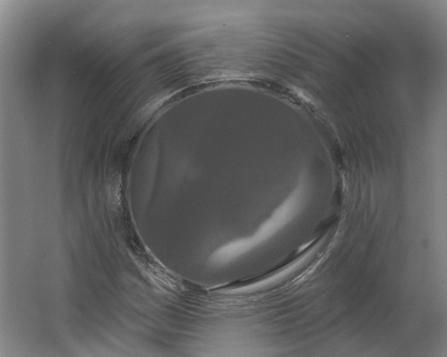 X0000062861161200601271522