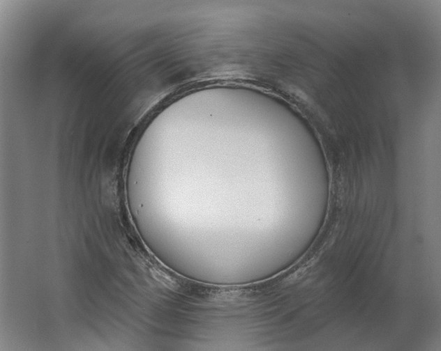 X0000062861162200601271522