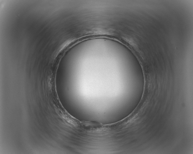 X0000062861163200601271522