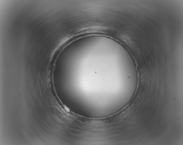 X0000062861164200601271522