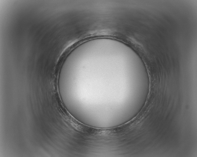 X0000062861166200601271522