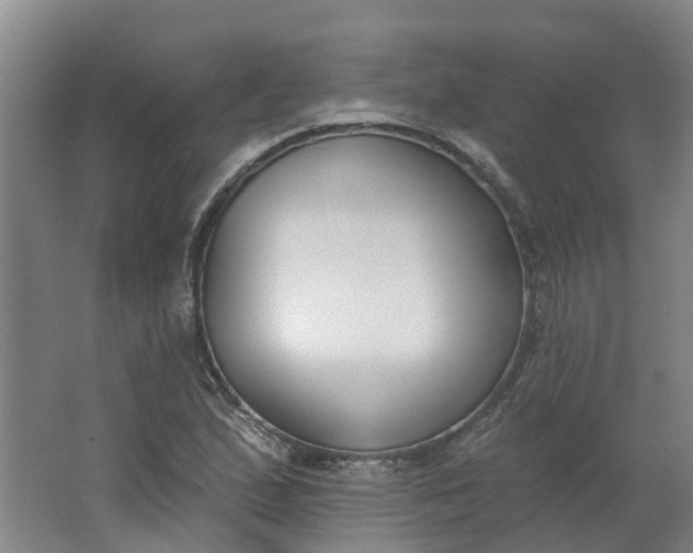 X0000062861167200601271522