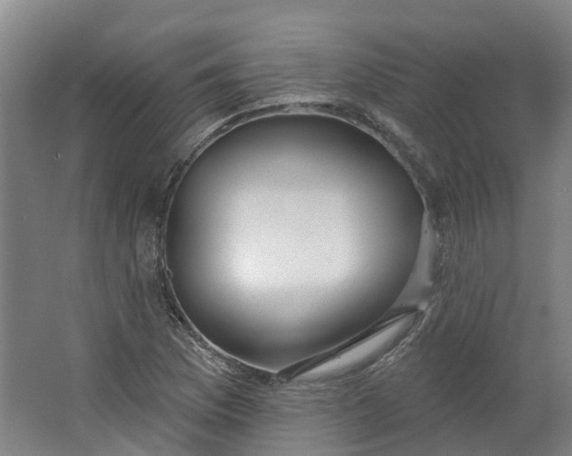 X0000062861169200601271522