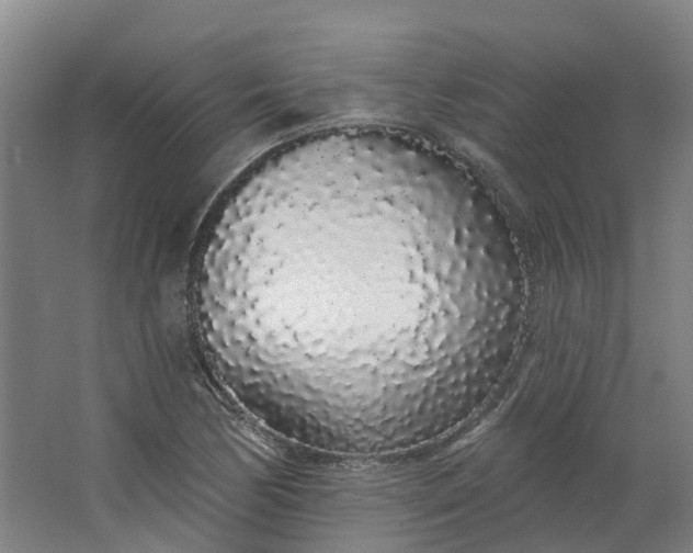 X0000062861170200601271522