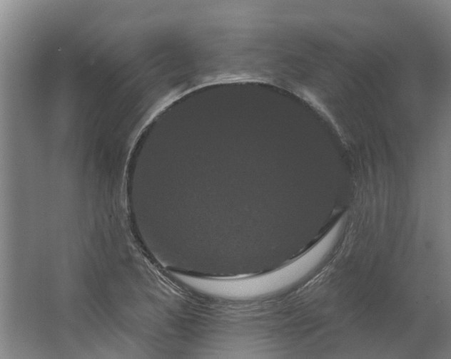 X0000062861173200601271522