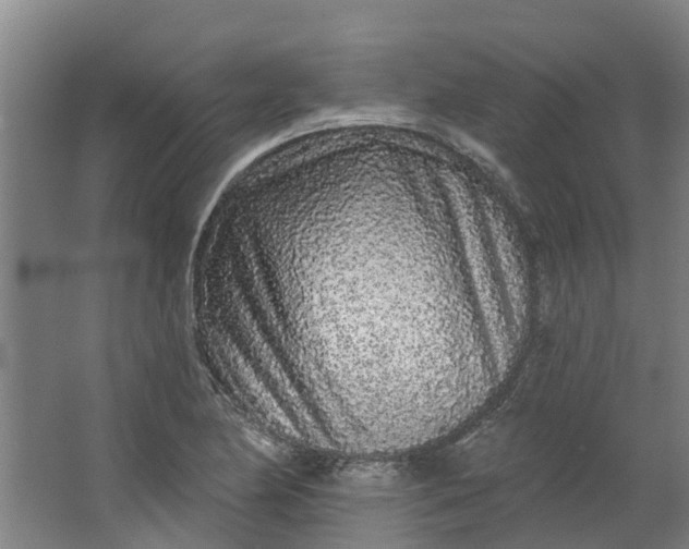 X0000062861174200601271522