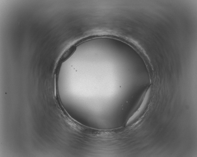 X0000062861175200601271522