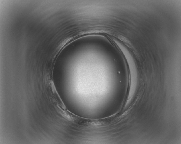 X0000062861177200601271522