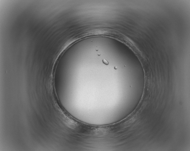 X0000062861178200601271522