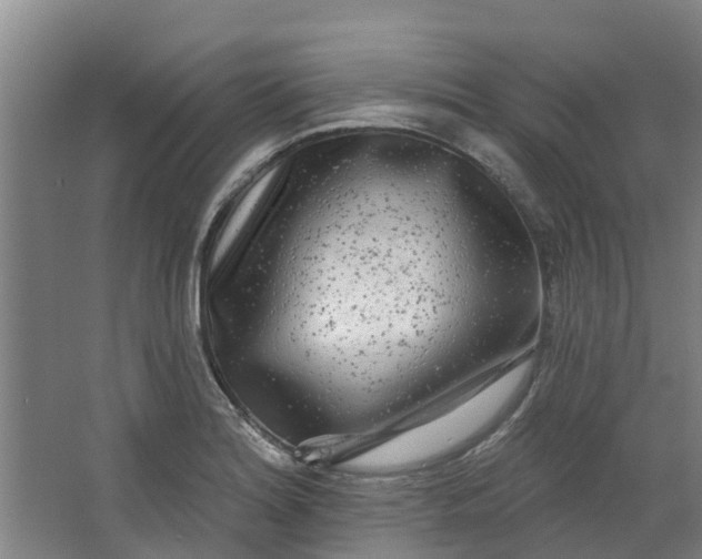 X0000062861180200601271522