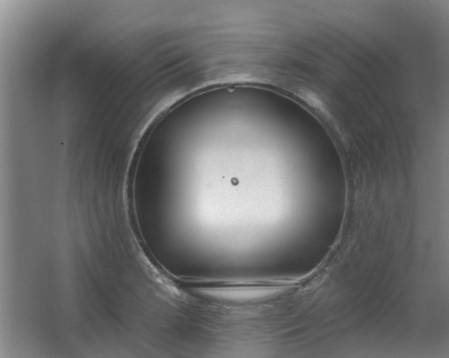 X0000062861181200601271522