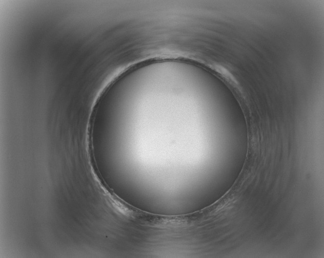 X0000062861183200601271522