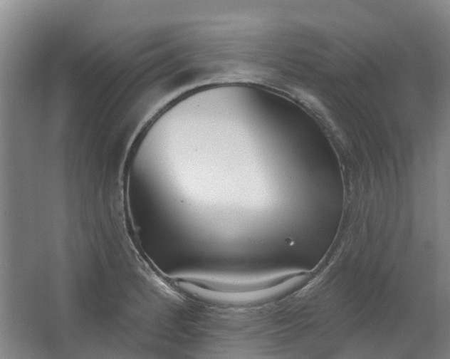 X0000062861184200601271522