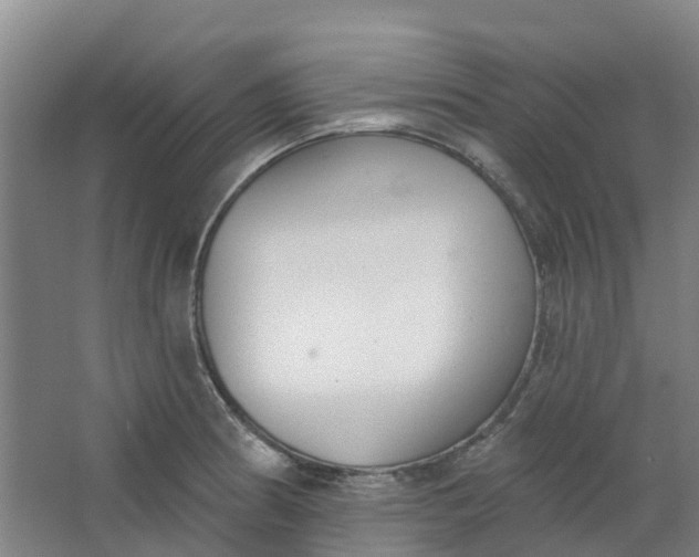 X0000062861186200601271522