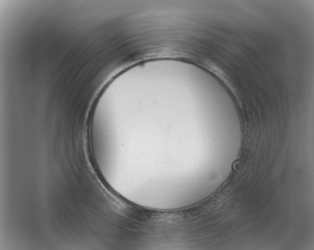 X0000062861187200601271522