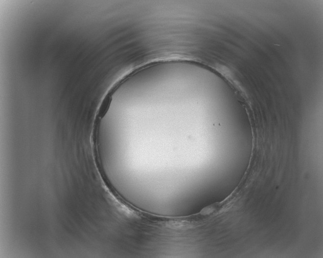 X0000062861189200601271522