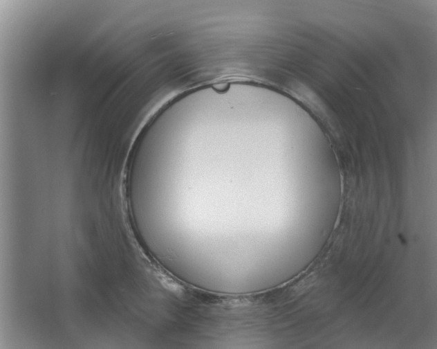 X0000062861190200601271522