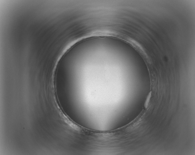 X0000062861192200601271522