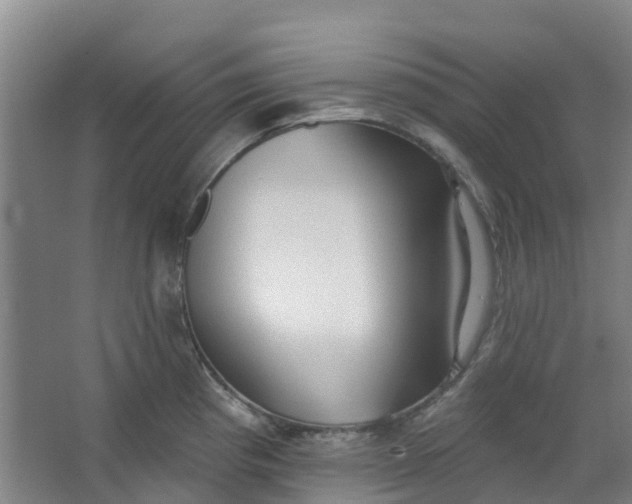 X0000062861193200601271522