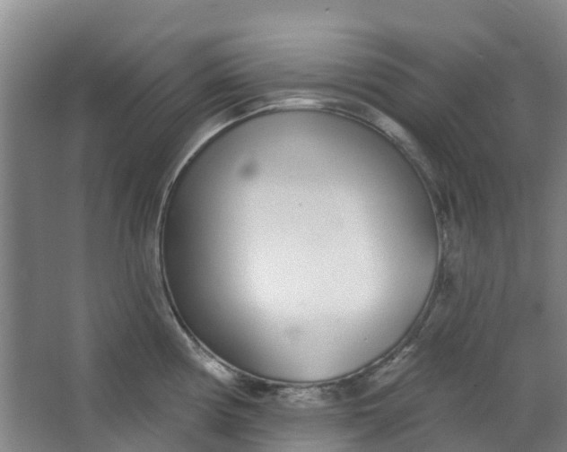 X0000062861194200601271522