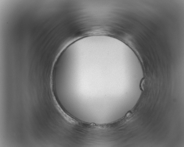 X0000062861195200601271522