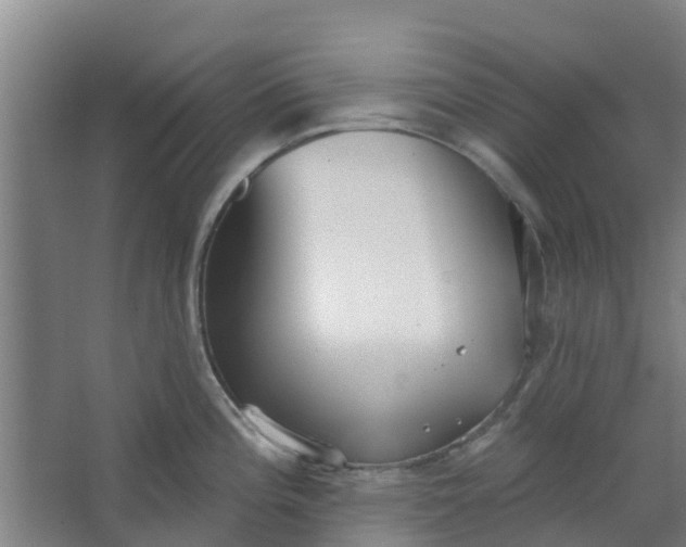 X0000062861196200601271522