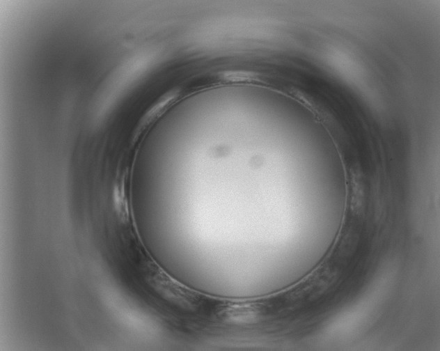 X0000062861198200601271522