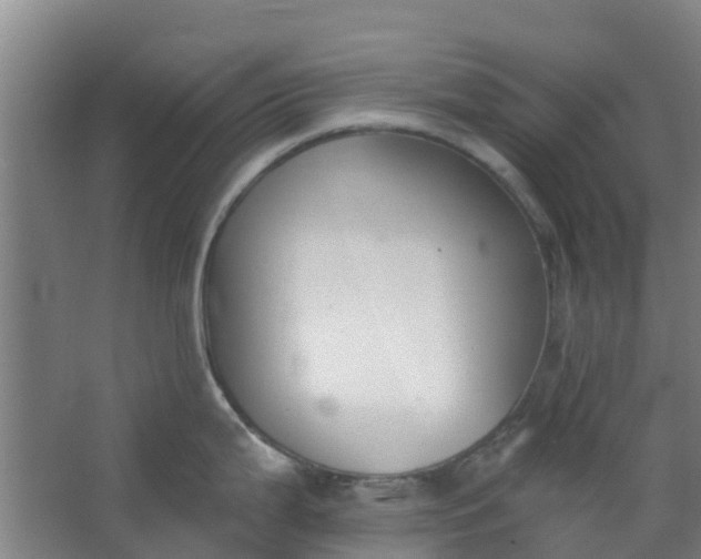 X0000062861199200601271522